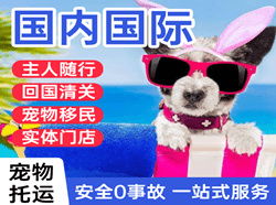 珠海国际宠物托运 【国